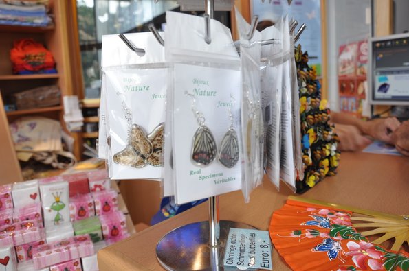Butterfly souvenirs with actual wings