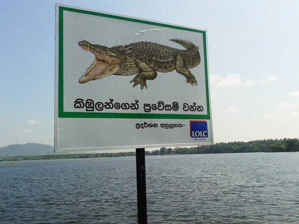 Warning Crocodile