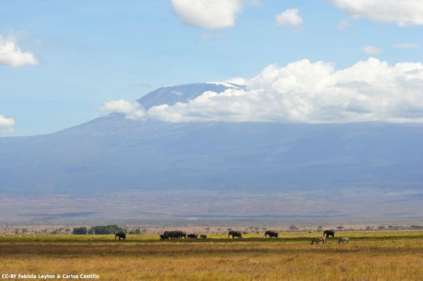 Kenya_Elefantes_Amboseli_B_DSC_0431_retocada