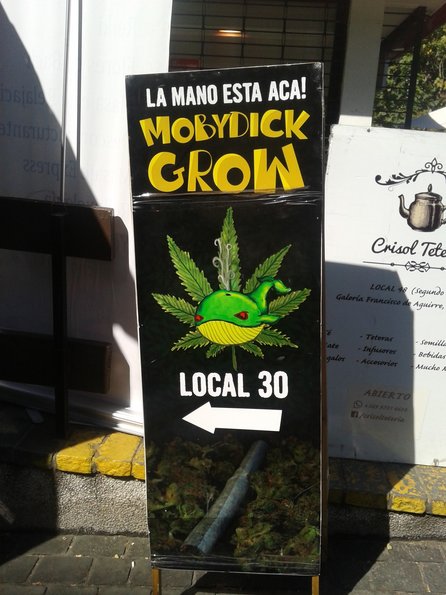 Grow shops in Chile