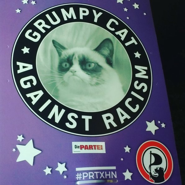 Grumpy Cat against racism