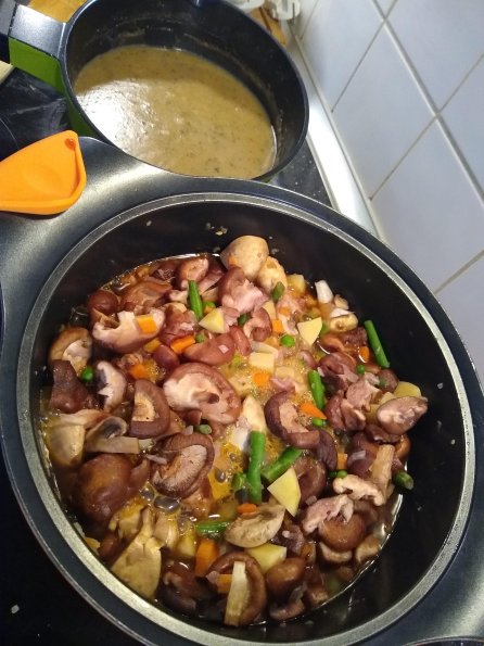 Mushroom stew (1)