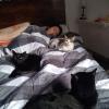 Fabi and the cats