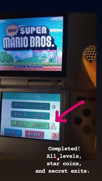 I played Super Mario Bros in a Nintendo DS I borrowed from my brother
