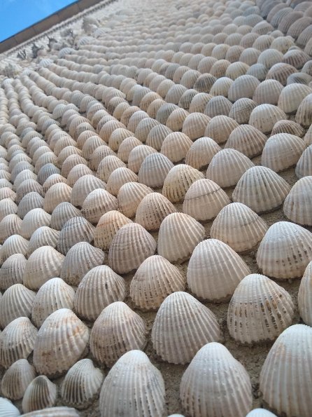 Casa cubierta de conchas en Sant Cugat