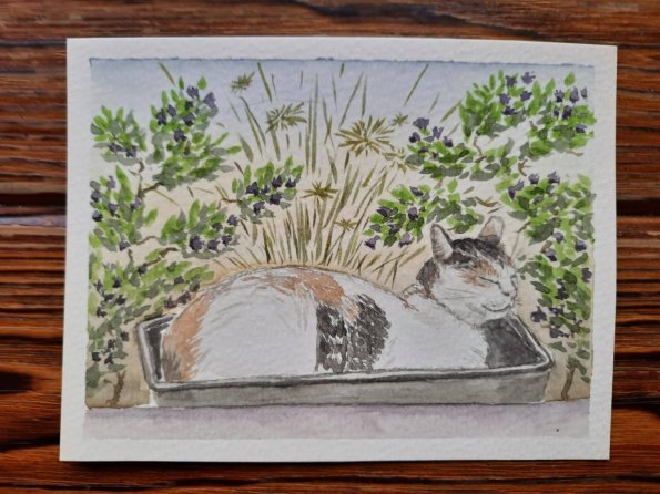 A watercolor of Kittycat, painted by Y.