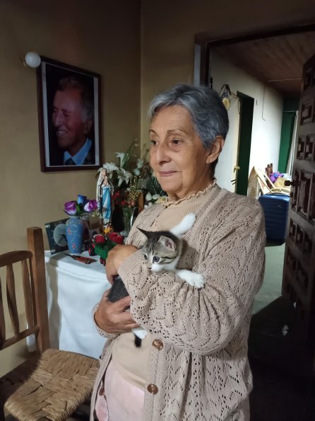 Fabiola's mother with a small kitten