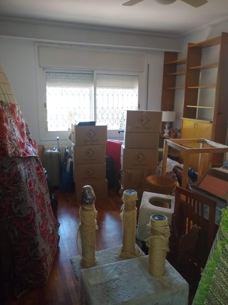 The living room full of boxes (2)