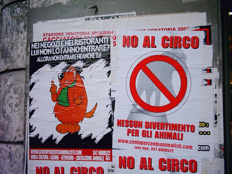 NoAlCirco