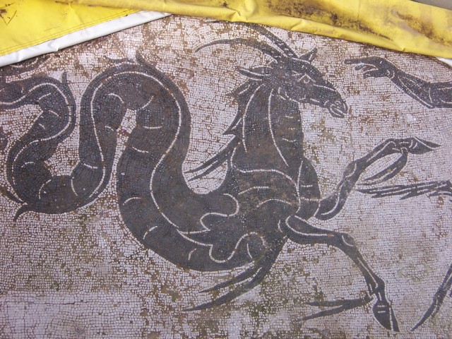 Un dragon hecho con mosaicos en el piso.

A dragon made of mosaics in the floor.