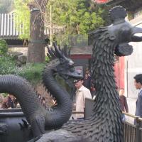 The emperess (peacock) and the emperor (dragon) 2