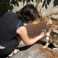 Fabiola y un gato que conoció en Napoli
