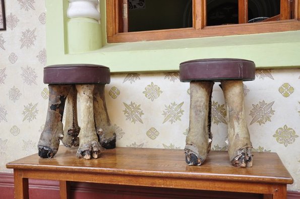 Silla patas de elefante