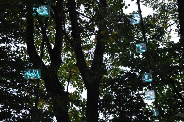 Misterious numbers in the woods (well, not so misterious)