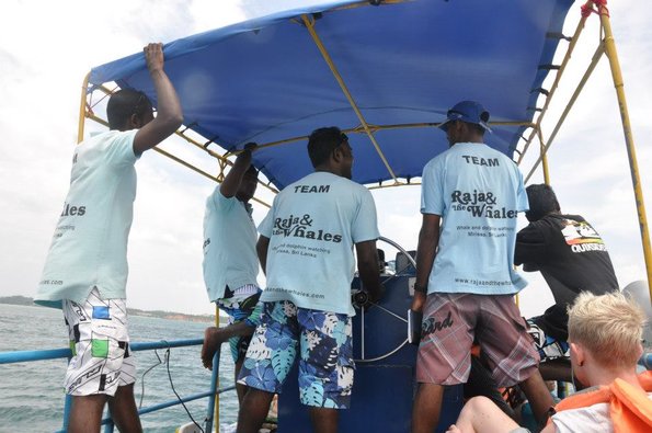 Sea - Raja and Whales