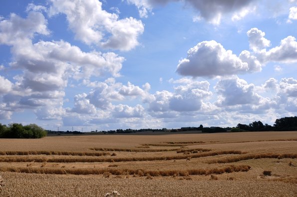 DSC_0358_1