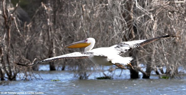 ,C^Y.ÿ}Pwu"ËÙ¤9sQÖSG¸!ÓíJ§­CÕWH-¯þs=ds{|zyiZ@+ì·sTàÝaRþ±l¯;þ\ÙoðlãUÂ*ëDç1v¶ñ'X«Íê#,0/)ùßÀsEÚ[Èw!Æf(´;½:²%ü`¿n¾	OÌ5b­ËäøøäË­ô5;@o7¾nQ¿`%²:½8ü·¤V0wÉ[aâEsàßù)/²¸;`´)¤X'ñ³=Ù3ËH(Pëmðn;9e³ÿ°÷1~X1;:{VtyazpyS=ÿØ6ð¯s<
Ý/ÙîÜâµÔ×P8Ç[ôlÝï=àþ?Ç¸Ã=¹¼,KëYø:v·ñ;cTµëðÍ>ÝËÓÈÕc½âÅ£vR[rûÆh¡î×QtïiÞ
¹_{×[Õw5aÿäBØÒÿûýúòåÓ¼ Y.þÉPÃu"Êm¤8ÇQÖG$G¸&Zïk vC¾/Ø¶ÇQÿ%³Ï0Ïµâ
-Kdxxf,Òàïv'?ç|ZÊº0»3WÑâBËÿú8À»úÂI1p_Ç§É¤ÜbE#Hß[y}þ¸`âÃ
Kizêa¯FÖ-"ÉzÐä±eöçUX:(ÿ
ïñ,ª^§ÛpLóñ45ô¥Æ:®Ã©Ý¸­$¯íh¢ÅCÁÐ[I1®ùÿ3ÒùÞiÃ!ìcùªD g6q­+b-°¯?ypáó÷ZéH÷çæ%
4»2¥!±à?« >ÏLµâ
-KdxxdK-
âµLÏ>î?à|¥2º=»4¨æF¡÷HÛZÅó@_y©¯°¬£jM+Ø§q6ö±gÄkªBÕcìpïiÞNà¹Ü3%R]ø¦À*pôûýòåÓ XþÉC ÃuÊm	y8ÅÝvVÑG;$íx¢õS·ÐI5bv3Ã¬¨¾ÙùHw«ä"e­úL£ÿ`Æ1¡ª=Õr»gÎI'X{T2ýêÜÓÏÐÖáñ ?cºí%b¤ë7Þ9þh×KÄBÅMÚl@æAö°o3üÊuR4øîééîø4RuÊü3o°öAæ@lÚMÅBÄK×hþ9Þ7ë¤b%íºc? ñáÖÐÏÓÜÊý2T{§ØIÎg»rÕ=ª¡1Æ`ÿ£Lú­e"ä«wHùÙ¾¨¬Ãß&Q¶ð/s¼
]µtÛG¸.©)®8Ç[ô5Ý<ó¯p6Ñ¦_C,(>YyÈ÷+d¢å-zÌ#àF±!*½Uò;çN	ÉX'ûÔ²}j\SOPVaq ¿ã:m¥â$k·^¹~èWËDÂEÍZìÀfÁv0ï³|JõÒ´xniinx´ÒõJ|³ï0fÁfÀìZÍEÂDËWè~¹^·k$â¥m:ã¿ qaVPOS\j}²Ôû'XÉ	Nç;òU½*!±Fà#Ìz-å¢d+÷ÈyY>(,C_¦Ñ6p¯ó<Ý5ô[Ç8®)©.¸GÛtµ]
¼s/ð¶Q&ßÃ¬¨¾ÙùHw«ä"e­úL£ÿ`Æ1¡ª=Õr»gÎIØ§{T2ýêÜÓÏÐÖáñ ?cºí%b¤ë7Þ9þh×KÄBÅMÚl@æAö°o3üÊuR4øîééîø4RuÊü3o°öAæ@lÚMÅBÄK×hþ9Þ7ë¤b%íºc? ñáÖÐÏÓÜêý2T{§ØIÎg»rÕ=ª¡1Æ`ÿ£Lú­e"ä«wHùÙ¾¨¬Ãß&Q¶ð/s¼
]µtÛG¸.©)®8Ç[ô5Ý<ó¯p6Ñ¦_C,(>YyÈ÷+d¢å-zÌ#àF±!*½Uò;çN	ÉX'ûÔ²}j\SOPVaq ¿ã:m¥â$k·^¹~èWËDÂEÍZìÀfÁv0ï³|JõÒ´xniinx´ÒõJ|³ï0vÁfÀìZÍEÂDËWè~¹^·k$â¥m:ã¿ qaVPOS\j}²Ôû'XÉ	Nç;òU½*!±Fà#Ìz-å¢d+÷ÈyY>(,C_¦Ñ6p¯ó<Ý5ô[Ç8®)©.¸GÛtµ]
¼s/ð¶Q&ßÃ¬¨¾ÙùHw«ä"e­úL£ÿ`Æ1¡ª=Õr»gÎIØ§{T2ýêÜÓÏÐÖáñ ?cºí%b¤ë7Þ9þh×KÄBÅIÚl@æAö°o3üÊuR4øîééîø4RuÊü3o°öAæ@lÚMÅBÄK×hþ9Þ7ë¤b%íºc? ñáÖÐÏÓÜêý2T{§ØIÎg»rÕ=ª¡1Æ`ÿ£Lú­e"ä«wHùÙ¾¨¬Ãß&Q¶ð/s¼
]µtÛG¸.©)®8Ç[ô5Ý<ó¯p6Ñ¦_C,(>YyÈ÷+d¢å-zÌ#àF±!*½Uò;çN	ÉX'ûÔ²}j\SOPVaq ¿ã:m¥â$k·^¹~èWËDÂEÍZìÀfÁv0ï³|JõÒ´xniinx´ÒõJ|³ï0vÁfÀìZÍEÂDËWè~¹^·k$â¥m:ã¿ qaVPOS\j}²Ôû'XÉ	Nç;òU½*!±Fà#Ìz-å¢d+÷ÈyY>(,C