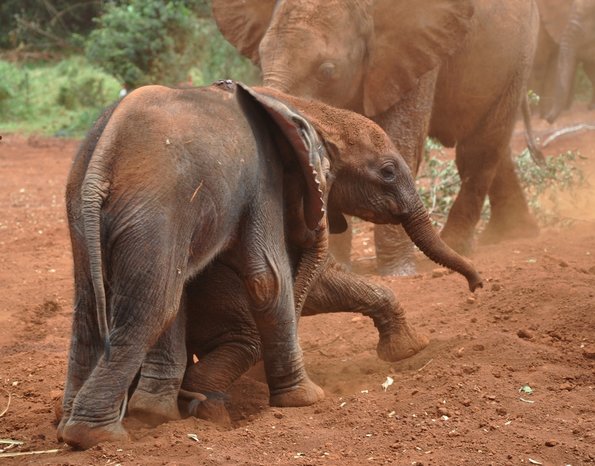 Nairobi_A_DSC_0901_retocada