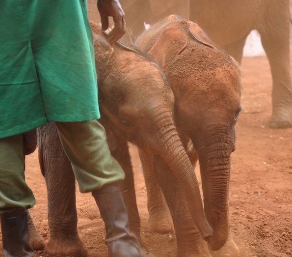 Nairobi_A_DSC_0905_retocada