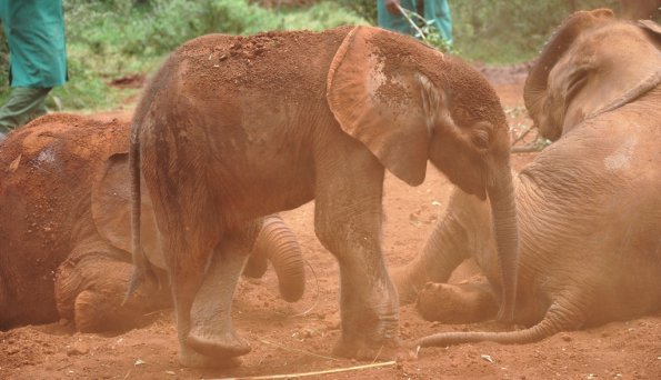 Nairobi_A_DSC_0908_retocada