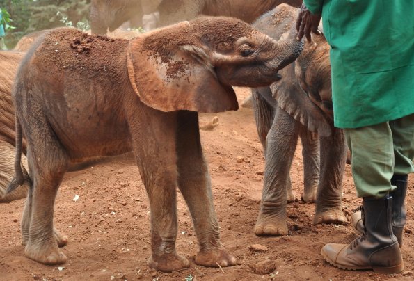 Nairobi_A_DSC_0910_retocada