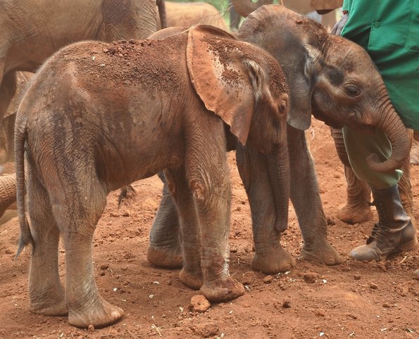 Nairobi_A_DSC_0915_retocada