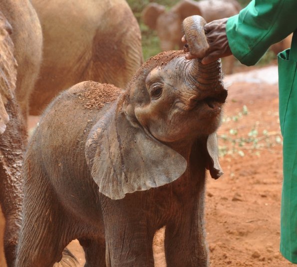 Nairobi_A_DSC_0920_retocada