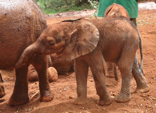 Nairobi_A_DSC_0938_retocada