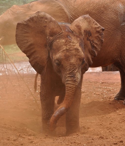 Nairobi_A_DSC_0944_retocada