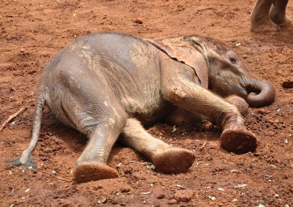 Nairobi_A_DSC_0962_retocada