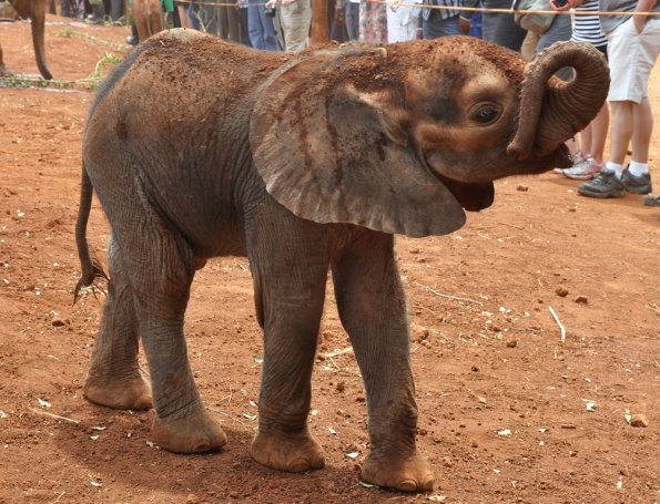 Nairobi_A_DSC_0970_retocada