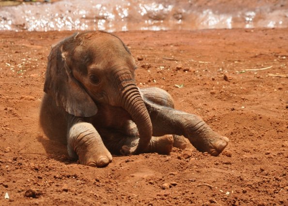 Nairobi_A_DSC_0972_retocada