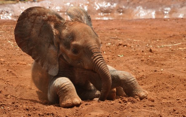 Nairobi_A_DSC_0973_retocada