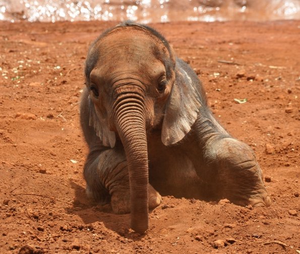 Nairobi_A_DSC_0976_retocada