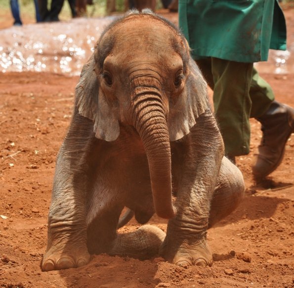 Nairobi_A_DSC_0982_retocada