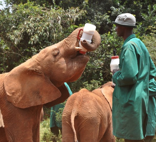 Nairobi_A_DSC_0994_retocada