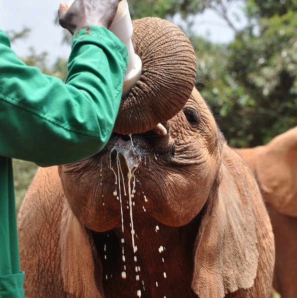 Nairobi_B_DSC_0001_retocada