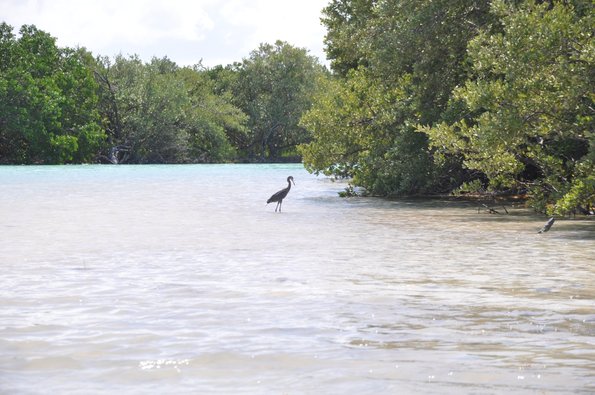 Holbox Lago