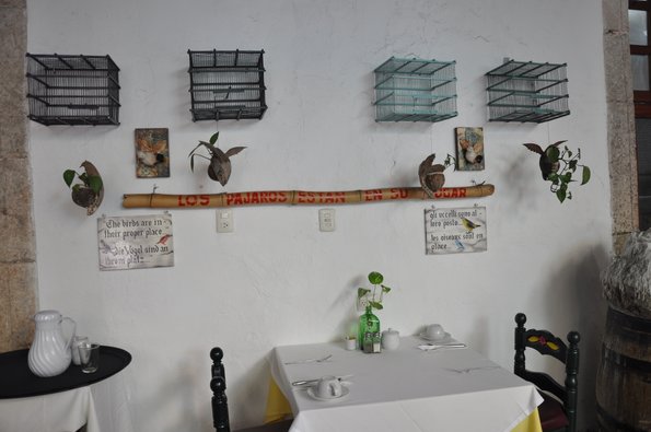 Los pájaros están en su lugar
