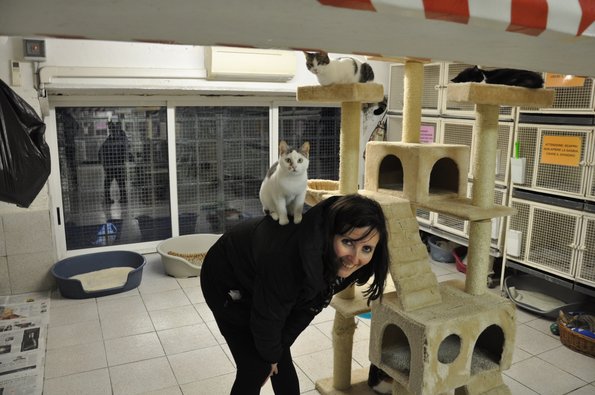 Roma - Fabiola -  Gatti