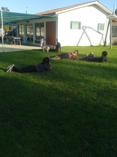 Grass
