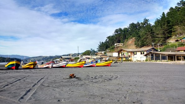 Boats in Llico
