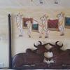 Room at Jaisingh Garh Udaipur