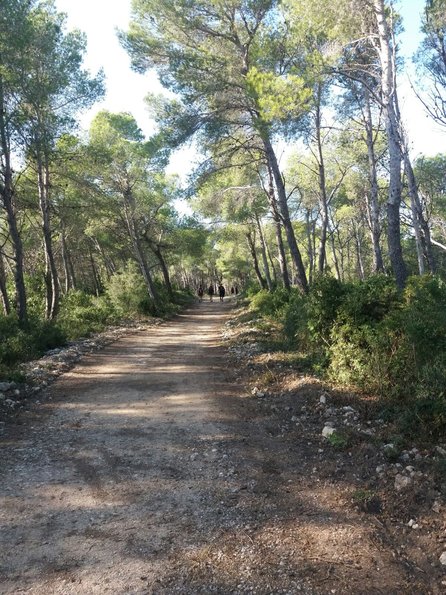 2017 Hiking/Garraf 1.jpg