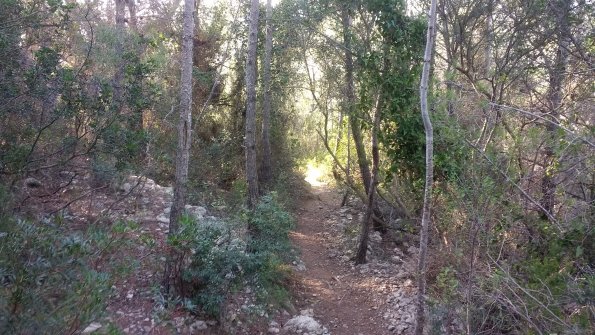 2017 Hiking/Garraf 3.jpg