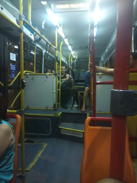 2017 Jan Chile/Chile micro.jpg