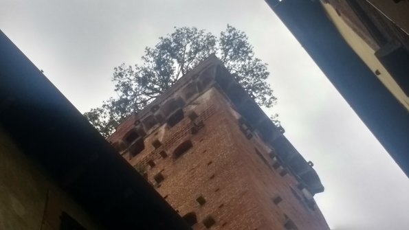 2017 Sep - Pisa/Luca 2.jpg