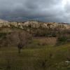 IMG_20190417_132224697