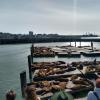 IMG_20190517_170921915_HDR