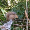 IMG_20191026_122327591
